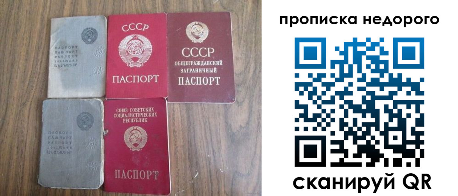 временная регистрация поиск в Алексеевке